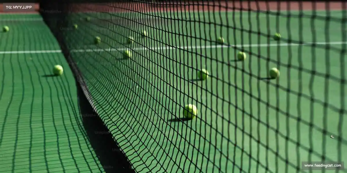 行业领先的理由